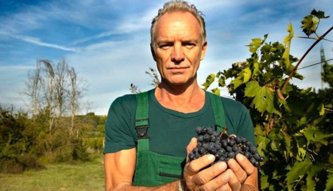 sting-opens-vineyard-to-guests-wine-tasting-140000-dollars